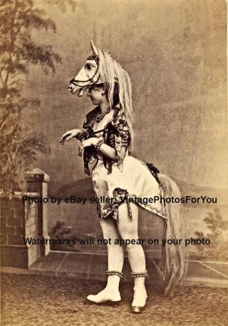 Old/vintage Weird/odd/funny Sexy Burlesque Horse Head Woman Cabinet Card Photo