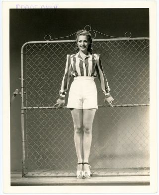 Popular World War Ii Pin - Up Anne Gwynne Vintage 1941 Proof Photograph