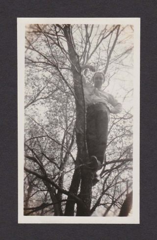 Woman/man? Up A Tree Looking Down Old/vintage Photo Snapshot - Y377