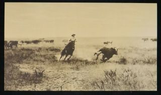 Early Western Sepia Toned Collotype /black Cowboy On Horseback 12”x 6”