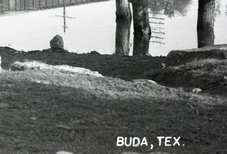 Vintage B&W Photo Negative - Buda,  Texas - The Old Swimming Hole 3