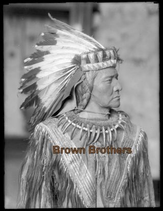 1900s Native American Indian Chief Headdress Claw Glass Photo Camera Negative 1