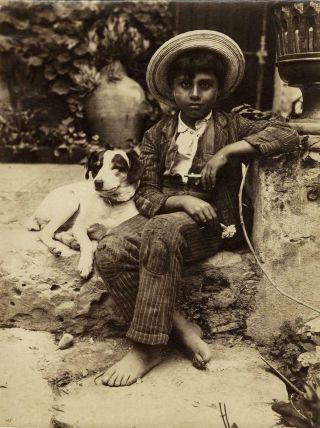 C.  1900 Sicilian Youth With Dog & Flower Photo By Wilhelm Von Gloeden