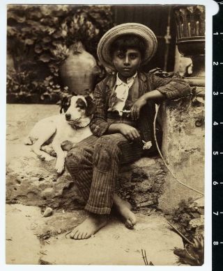 c.  1900 Sicilian Youth with Dog & Flower Photo by Wilhelm von Gloeden 2