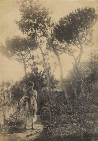 C.  1900 Sicilian Youth In Toga Photo By Wilhelm Von Gloeden Galdi Pluschow