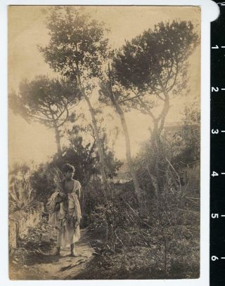 c.  1900 Sicilian Youth in Toga Photo by Wilhelm von Gloeden GALDI PLUSCHOW 2