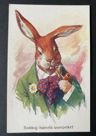 Vintage Easter Fantasy Postcard Dressed Rabbit W/pipe " Boldog Husveti Unnepeket "
