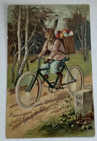 Rare Antique Vintage Easter German Postcard Rabbit Bunny Dressed Bicycle