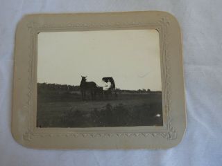 Old Vintage Antique Tintype Photo 2 Women In Horse Drawn Buggy