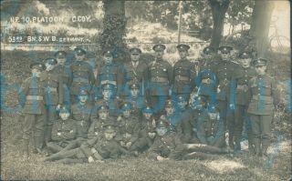 1919 South Wales Borderers 53rd Battalion C Company No 10 Platoon Germany Photo