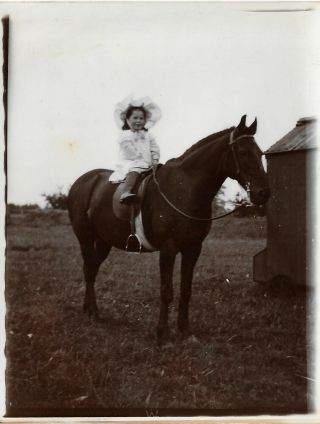 Vintage Old Photograph Pretty Girl Bonnet Hat Riding Boots Sat On Horse 1900’s