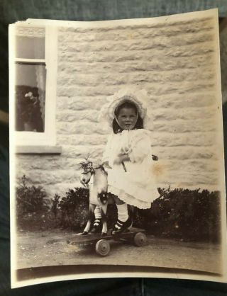 Vintage Old Photograph Pretty Girl Bonnet Hat Metal Toy Horse Skateboard 1900’s