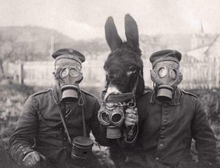 World War 1 Donkey Soldier Gas Mask Glossy Poster Picture Photo Print Wwi 3257