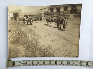 2 Photos China Road From Chefoo烟台 To Wei - Hei - Wei威海卫 C1900