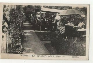 Aberystwyth Webbs Tea Garden Vintage Rp Postcard Pickford Cardiganshire 374c