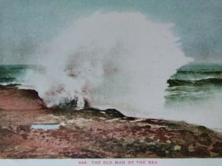 California Postcard 1902 Rare Old Man Of The Sea Wave Breaks Color Misc