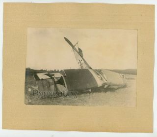 Photograph Ww1 1910s German Planes Crash In Field Albatros Flugzeugwerke? Photo