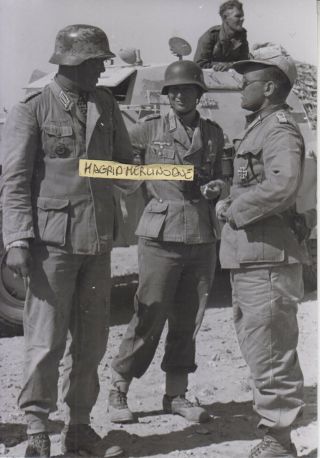 Ww2 Press Photograph Afrika Korps Offizer Mit Ritterkreuz Top