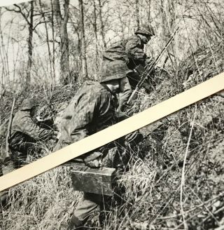 Orig.  Ww2 German Photo: Elite Waffen Ss Soldiers Camo Smock,  Helmet Cover