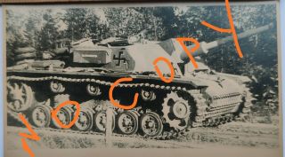 Ww2 Rare German Archive Photo 5 Ss Panzer Division 1944 Size 6x3.  5 In