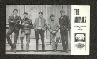 The Animals: A Vintage Promo Postcard From Spain (60 