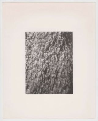 Alfred Stieglitz C1929: " Equivalent " From Songs Of The Sky,  Gelatin Silver Print
