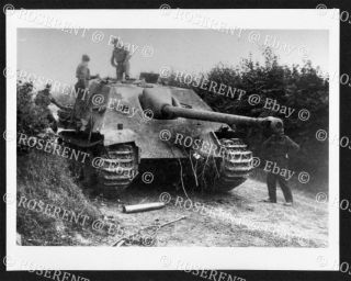 Ww2 Normandy ? A Captured German Jagdpanther Tank - I.  W.  M.  Photo 21 By 17cm