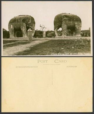 China Old Real Photo Postcard Stone Elephants Of The Ming Tomb,  Elephant Statues