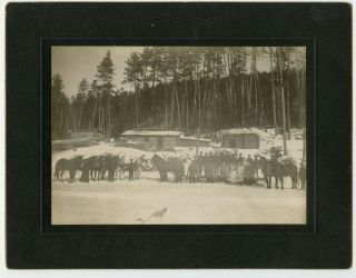 Ottawa Valley Lumber Camp Vintage Logging Photo
