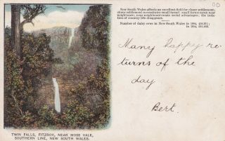Vintage Postcard Nsw Government Tourist Bureau " Twin Falls " 1900s