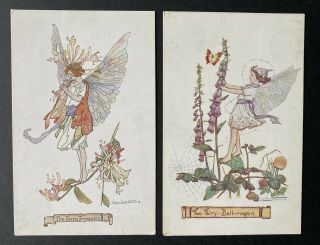 Vintage Fantasy Flower Fairy Postcards (2) A/s Solomon Trumpeter,  Bell - Ringer