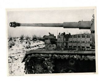 Wwii German Photo Tiger Panzer Tank In Lauerstellung Authentic Ww2