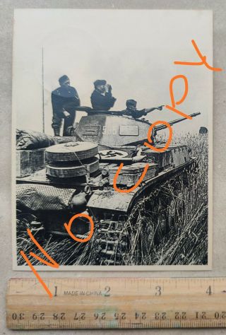 Rare Ww2 German Archive Photo,  Waffen Ss 3 Div Totenkopf,  Ostfront 1941,  5x4in