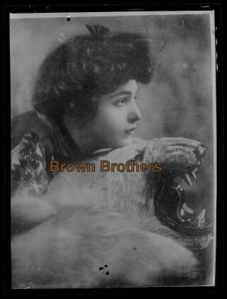 1907 Nyc Thaw Trial Evelyn Nesbit On Leopard Skin Rug Film Photo Negative 3
