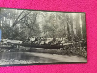 Vintage Rppc Photo Postcard Creek Large Group Sitting On Tree Fallen Over River