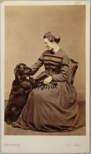 Cdv Lady Flat Coated Retriever Dog Paws Up On Lap Earl Worcester Antique Photo