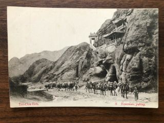 China Old Postcard Camel Group Tan Chin Hsia Yamamoto Peking