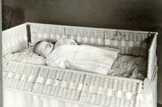 Vintage Antique Post Mortem Baby Infant Child In Crib 8 X 10 Matted Photo Image