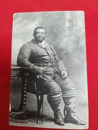 Rare Zulu Vintage Postcard Dinuzulu South Africa