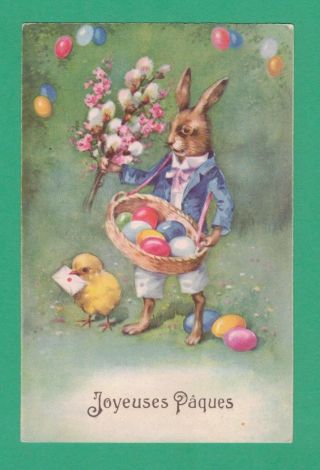 Vintage Easter Postcard Dressed Rabbit Basket Colored Eggs Chick Flowers