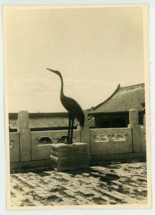 Vintage 1940s Rppc Postcard China Peking Forbidden City Bronze Crane Photograph