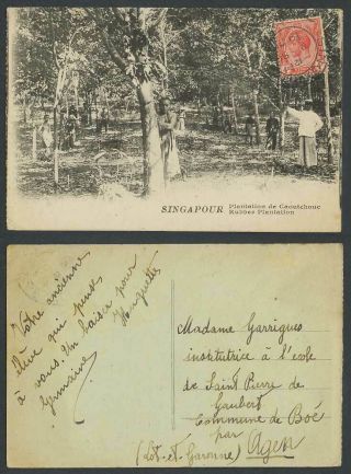 Singapore Kg5 4c 1925 Old Postcard Rubber Plantation,  Tappers Workers,  Singapour