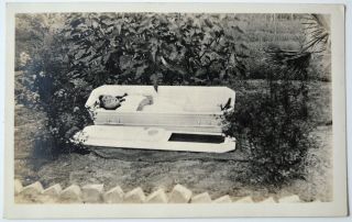Vintage Post Mortem Girl South Africa Real Photo Rppc