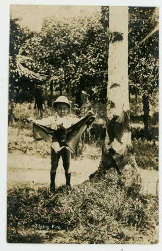 Vintage 1910s Rppc Postcard Singapore Child With Bat Flying Fox Real Photo