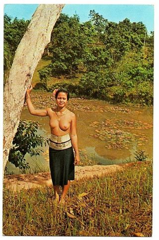 Old Postcard A Dayak Maiden Sarawak Malaysia Semi Naked