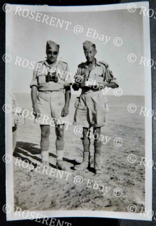 Ww2 Desert War - An Army Mess Tin Meal In The Desert - Photo 9 By 6cm