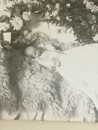 Vtg Baby Post Mortem Photo In Casket Coffin Dead Child Picture 1900 