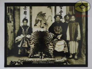 Matted 8 " X6 " Old Photograph Mandarin Official And His Wife Qing China 1900s