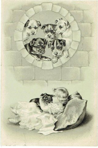 H Maguire Artist Old Postcard Dogs Looking Down On Girl & Puppy Embossed 1902