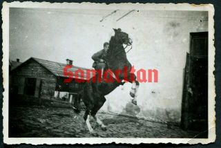 C7/2 Ww2 German Photo Of Wehrmacht Soldier Riding A Horse